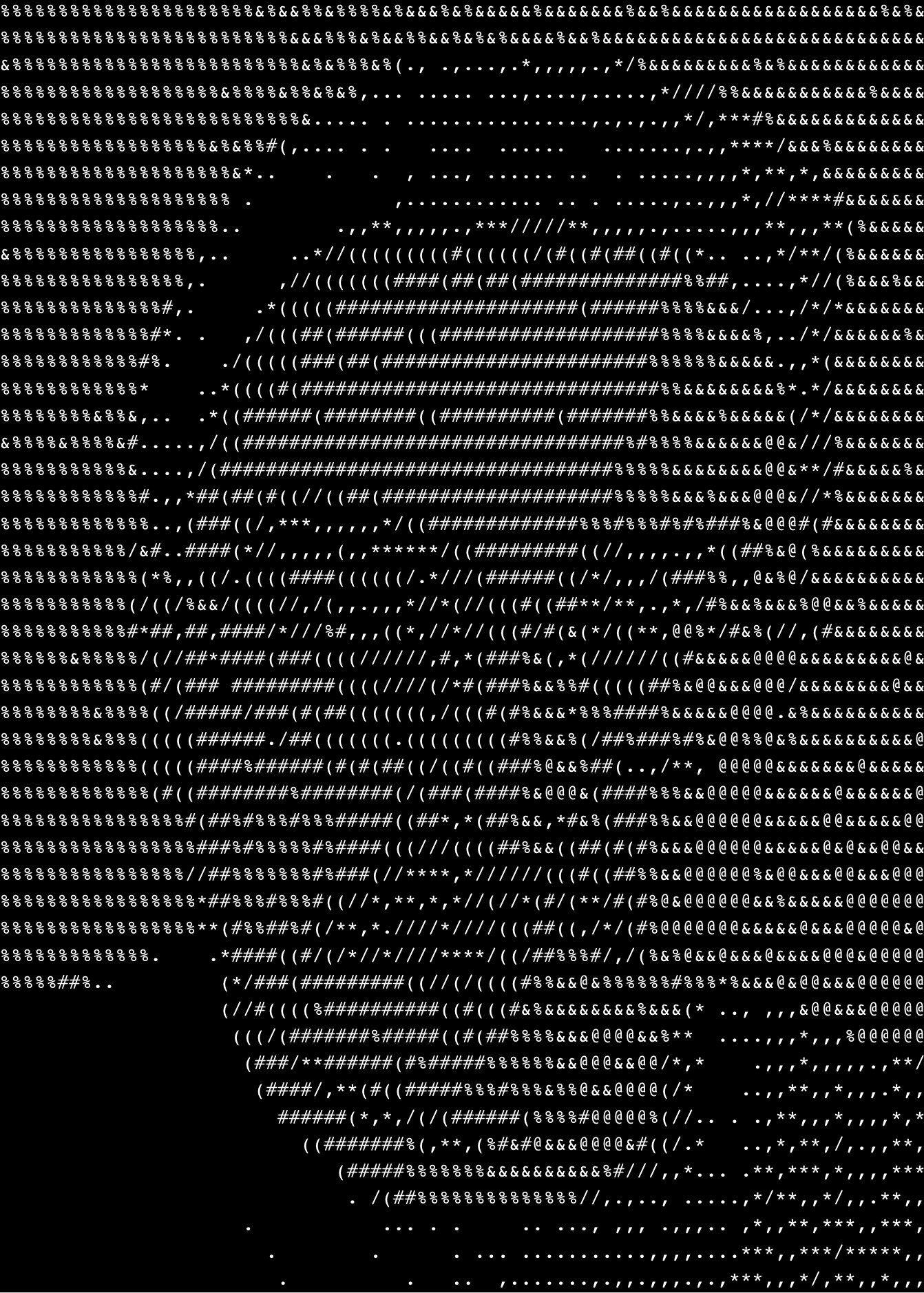 prof_pic_asciii.png